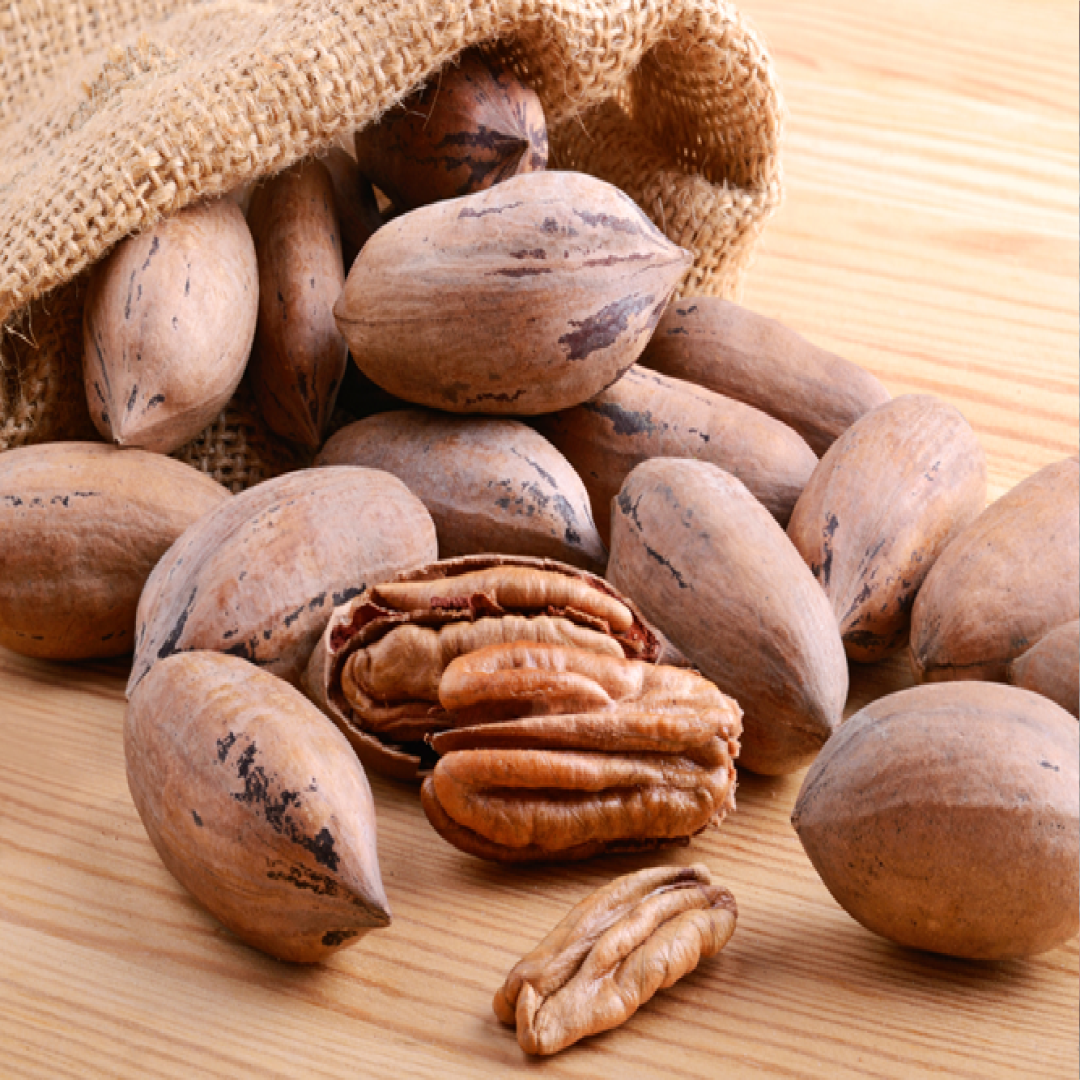 Pecan Nuts