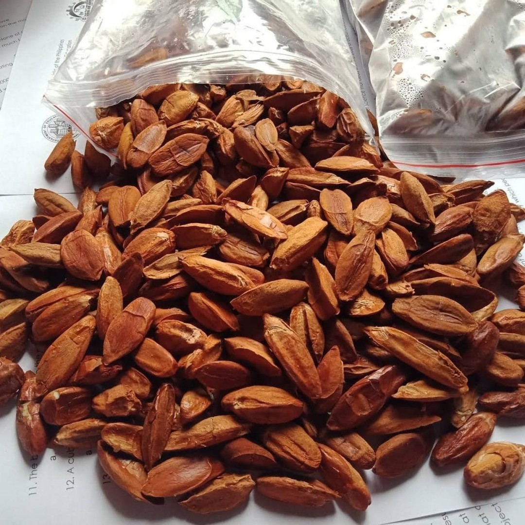 Pili Nuts