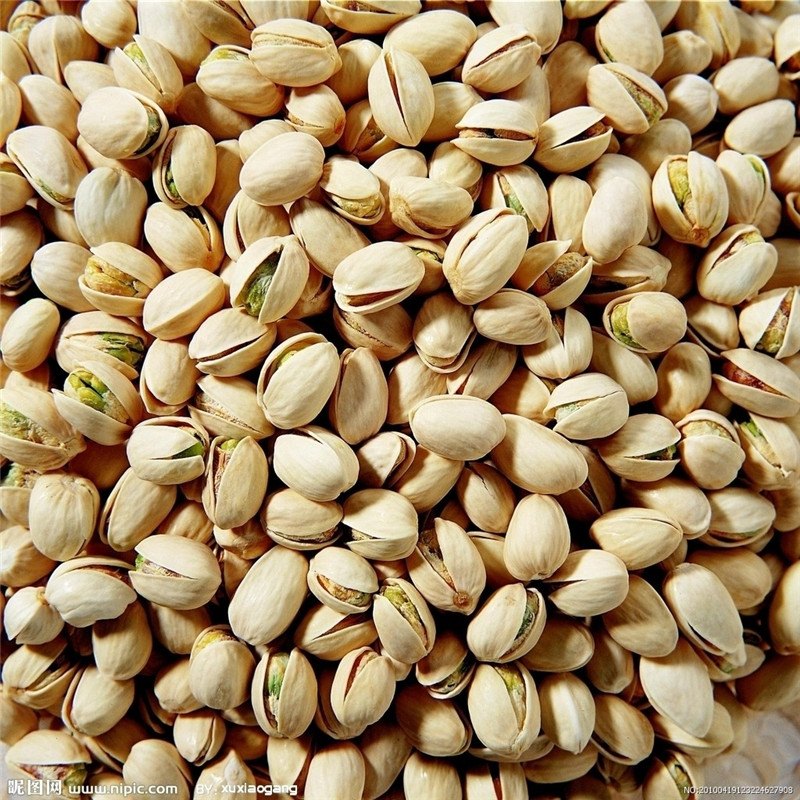 Pistachios Nuts