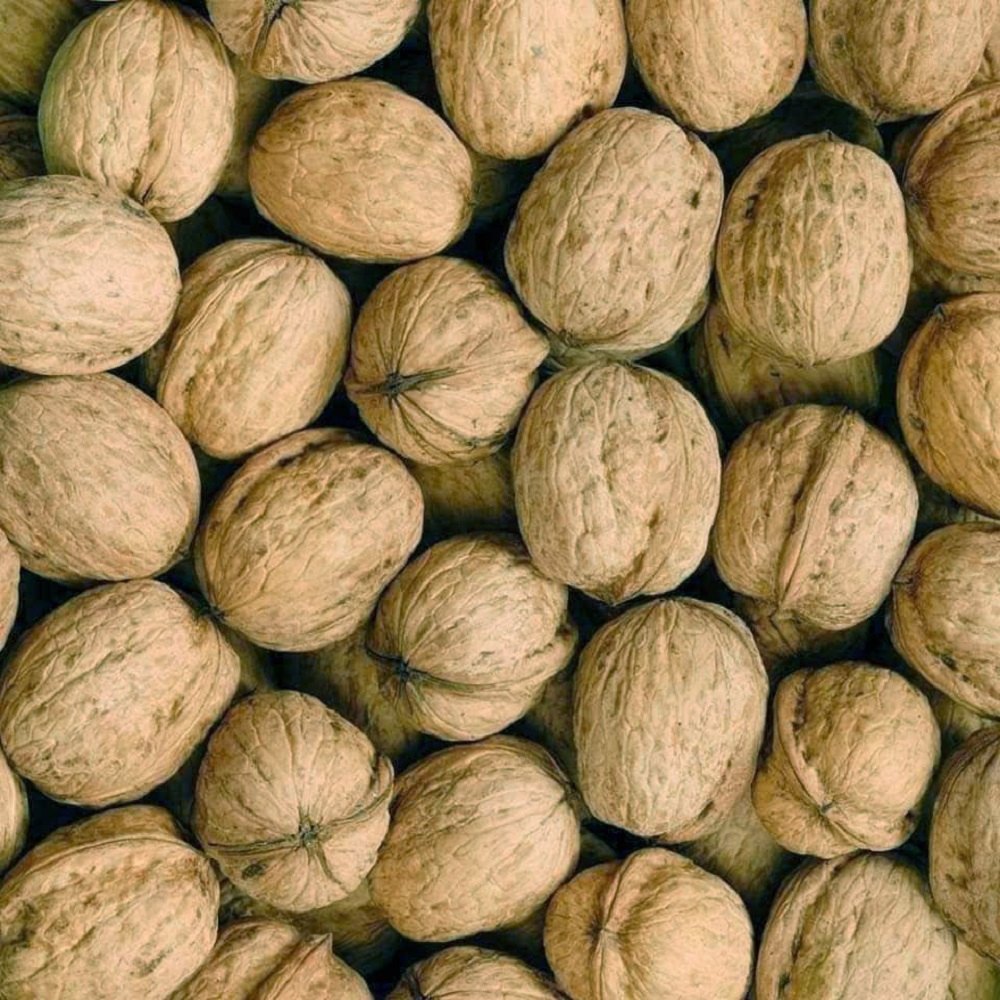 Walnuts